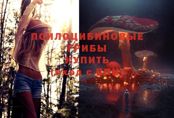 СК Балабаново